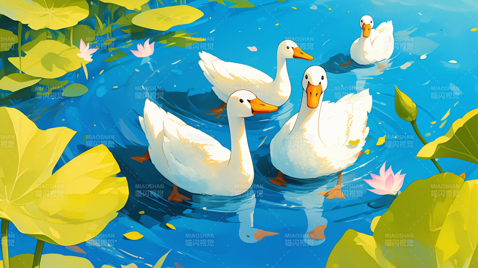 池塘白鸭戏水图片