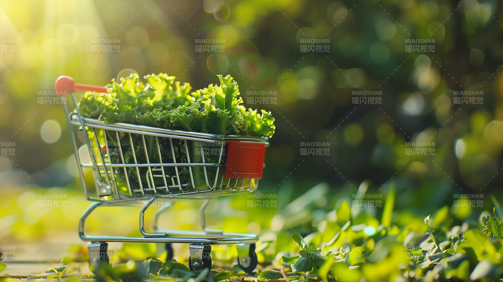 绿意满车 自然之选图片