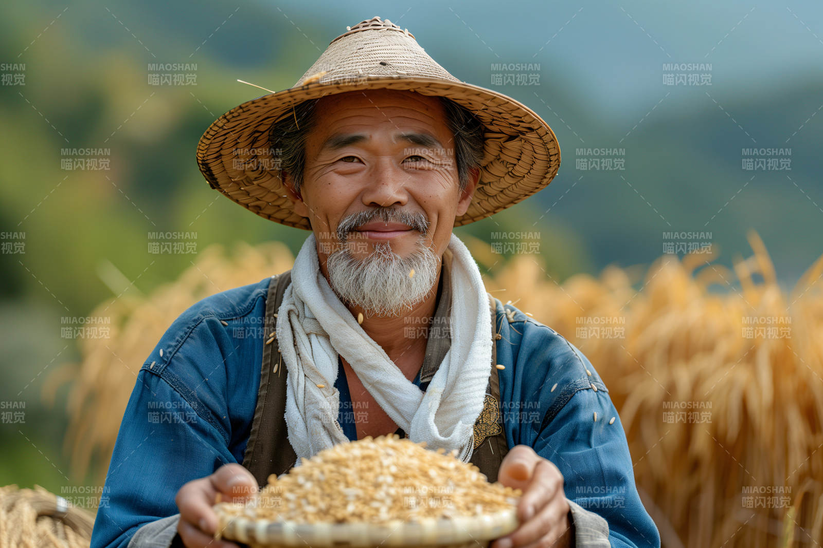 丰收的喜悦图片