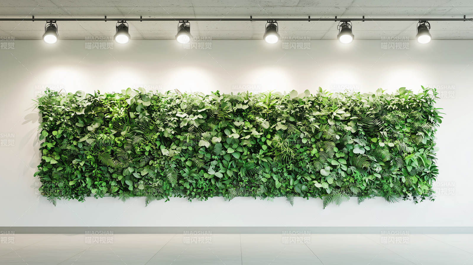 绿墙生机盎然图片