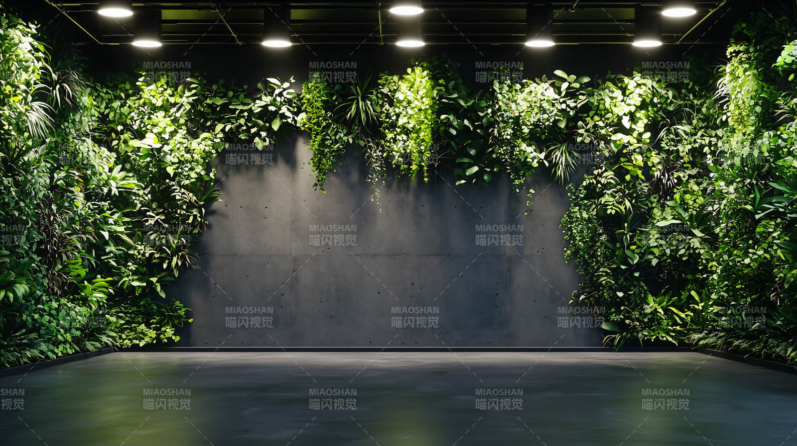 绿墙光影空间图片