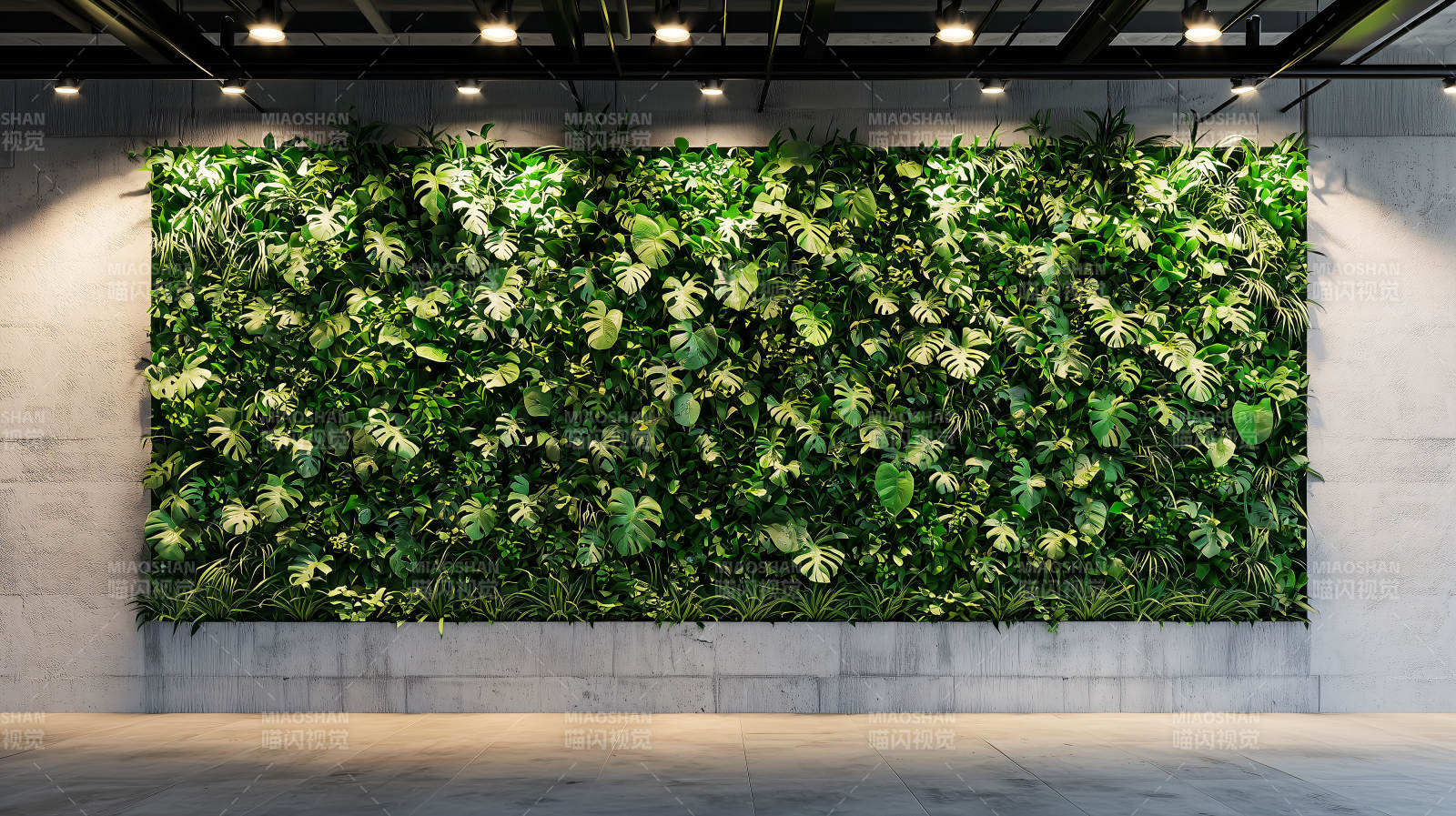 绿墙生机盎然图片