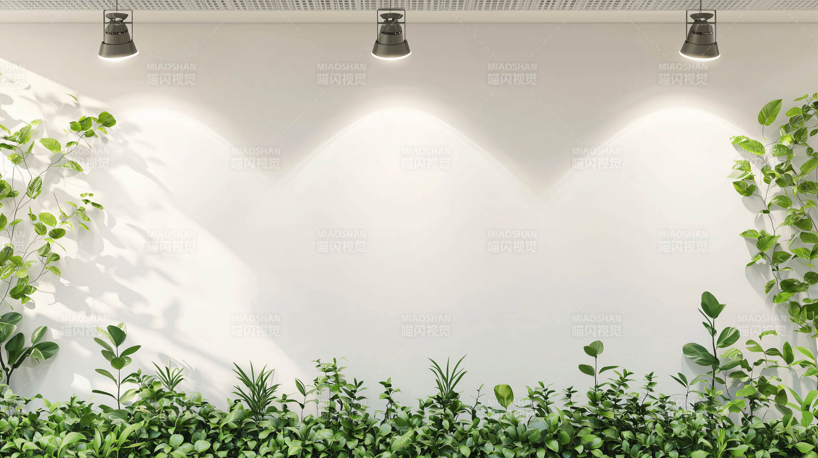 绿植墙光影图片