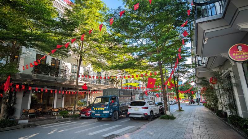 红旗下绿树成荫街景 越南 芒街市图片