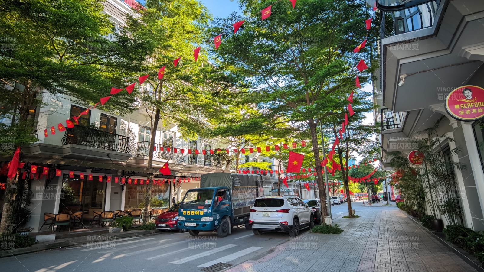 红旗下绿树成荫街景 越南 芒街市图片