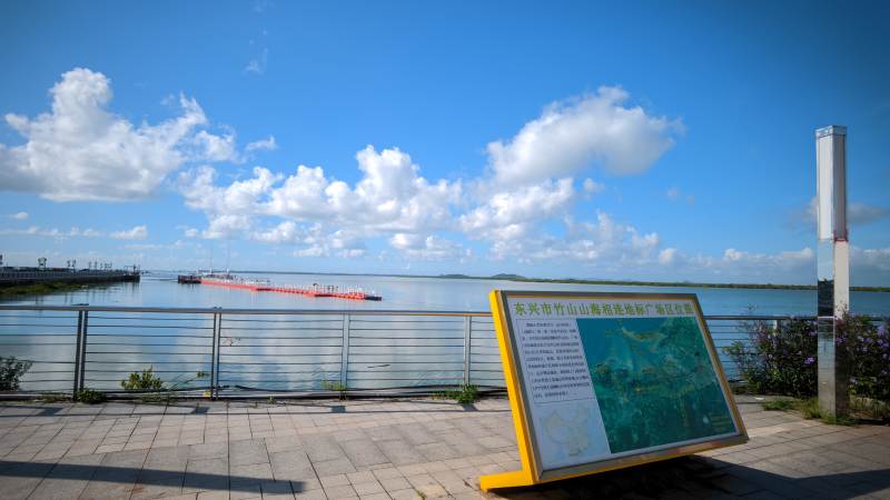 湖畔风光览胜图 东兴市 竹山港图片