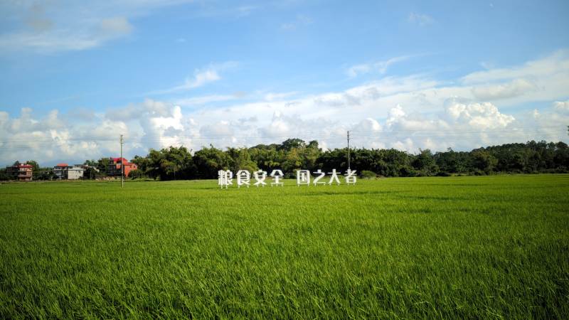 绿野蓝天 宁静田园 东兴市 竹山村图片
