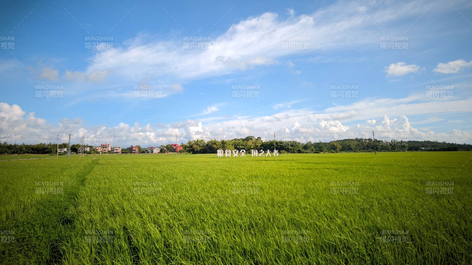 绿野蓝天 心旷神怡 东兴市 竹山镇图片