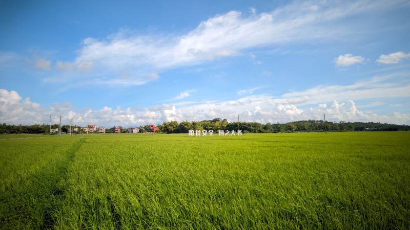 绿野蓝天 心旷神怡 东兴市 竹山镇图片