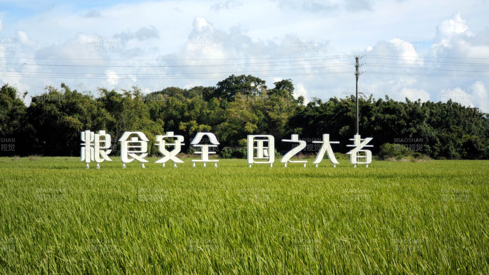 粮食安全 国之大者 东兴市 竹山镇图片