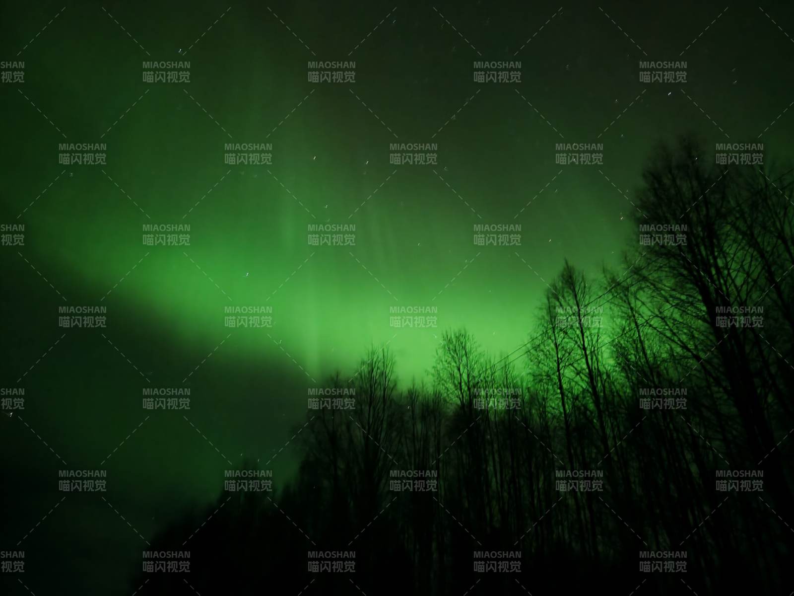 拉普兰芬兰罗瓦湼米极光映林夜景图片