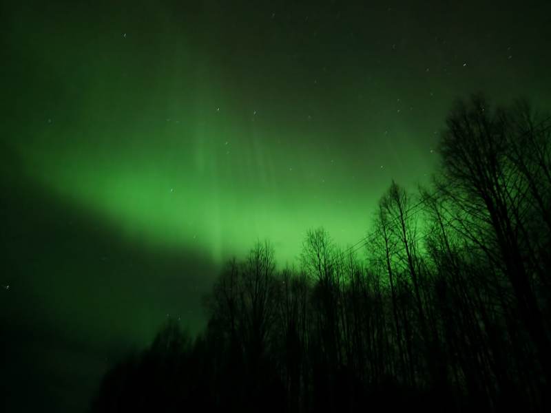 拉普兰芬兰罗瓦湼米极光映林夜景图片