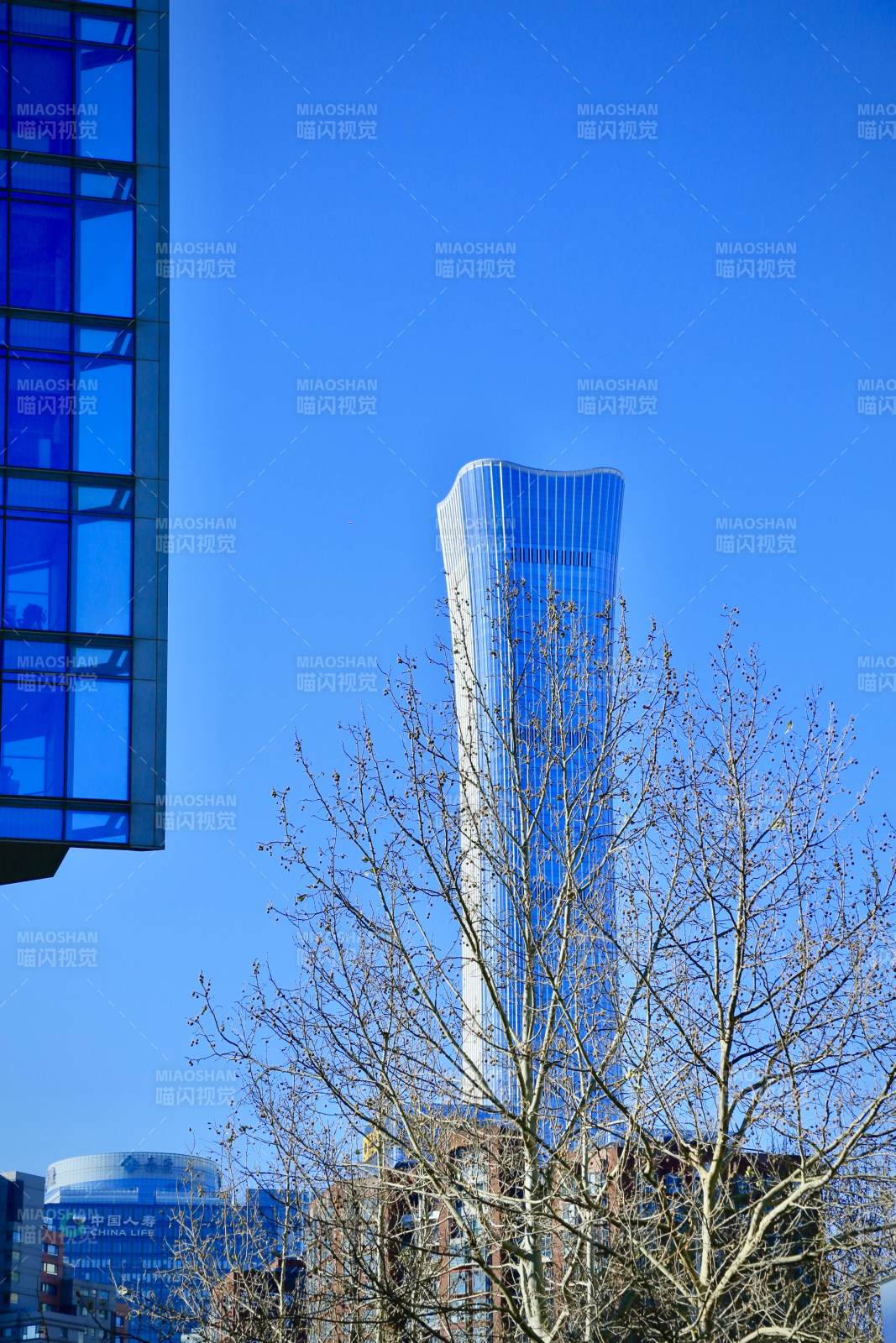 蓝天下的现代高楼国贸中国尊图片