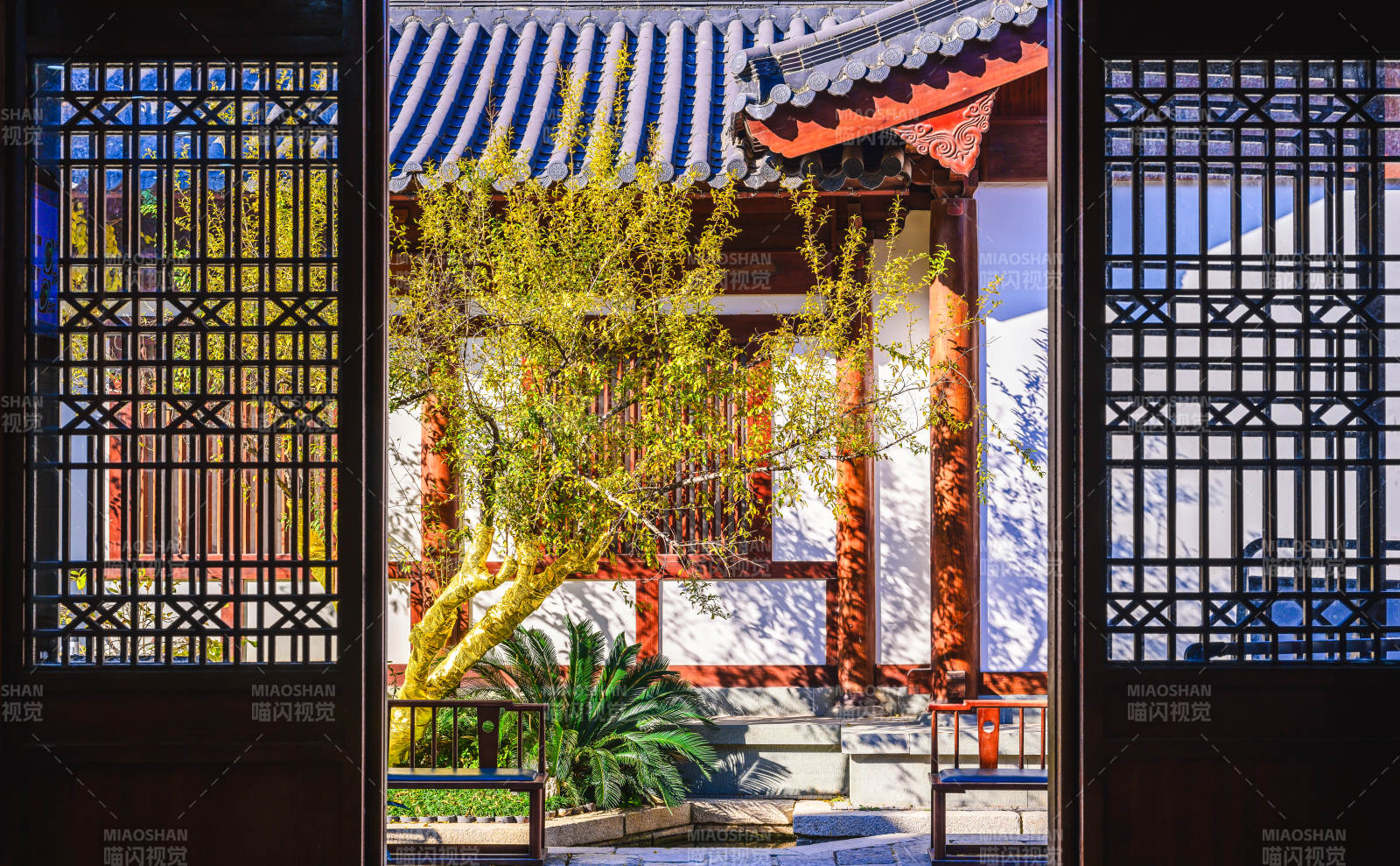 门外庭院春景图片