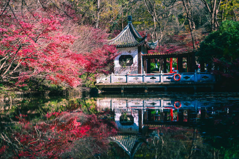 南京栖霞山红枫时节图片