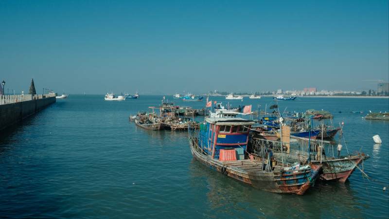 厦门渔港风光图片