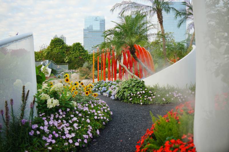 花海中的城市绿洲图片