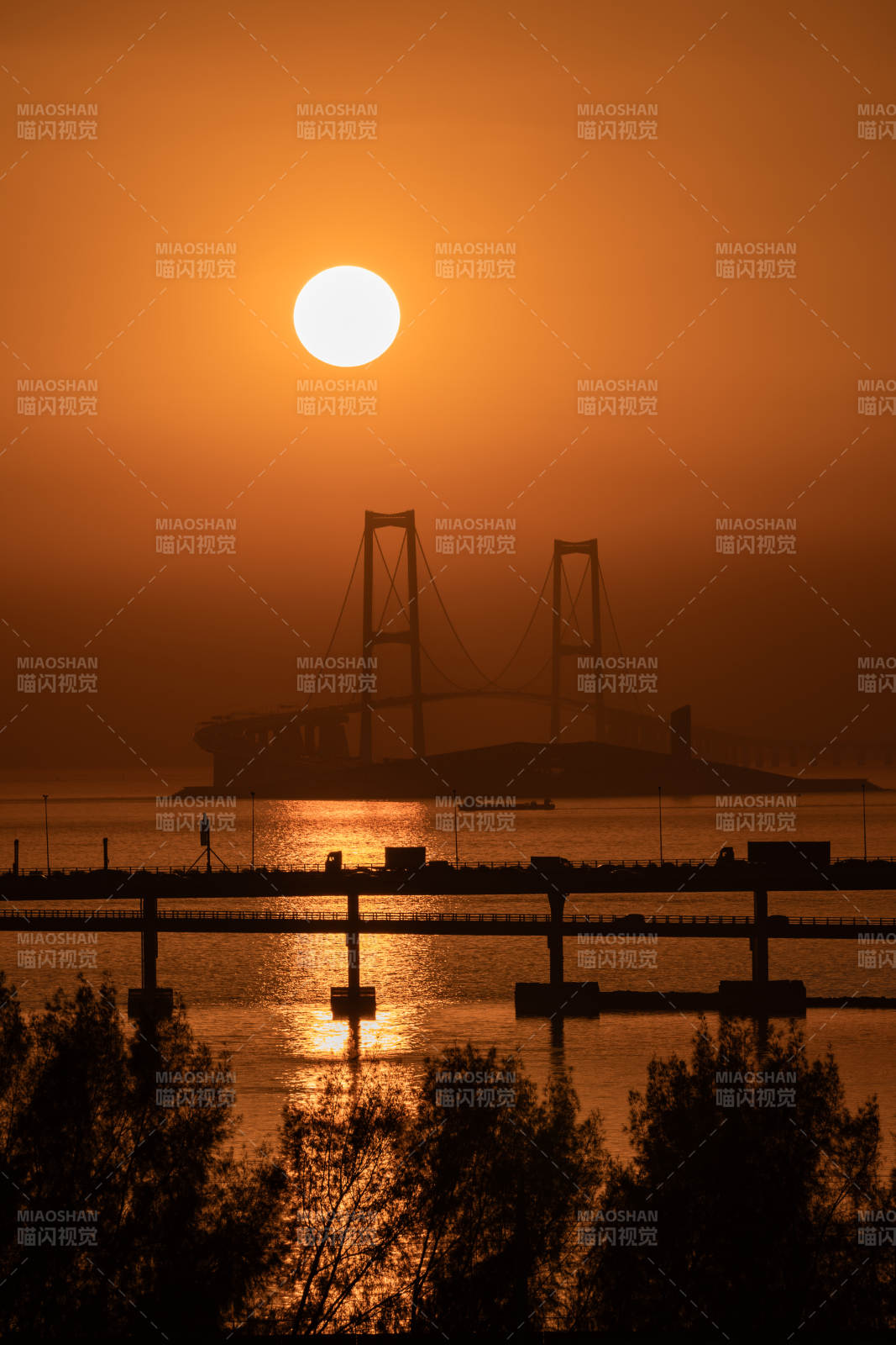 深中通道悬日图片