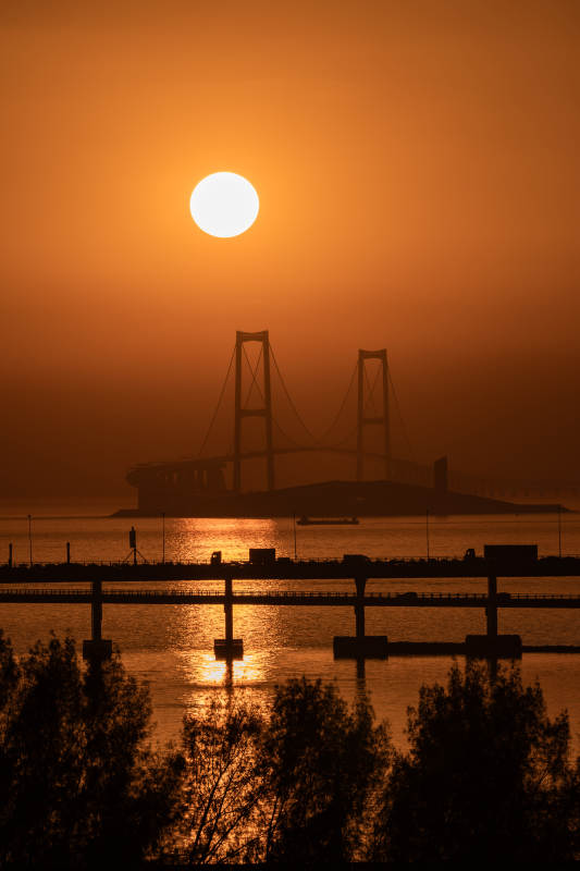 深中通道悬日图片