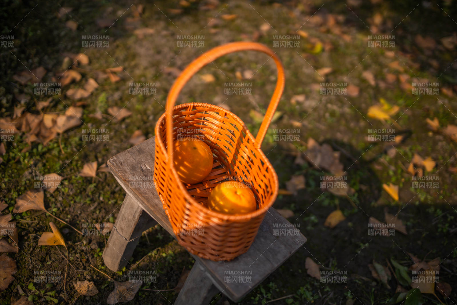 秋日篮中橙果图片