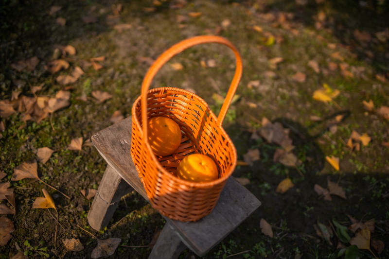 秋日篮中橙果图片