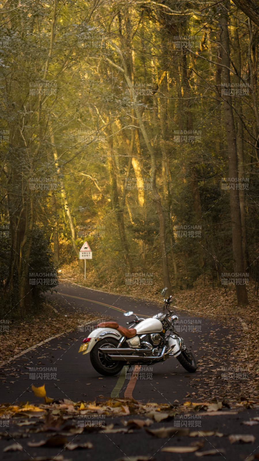 秋林中的摩托静影图片