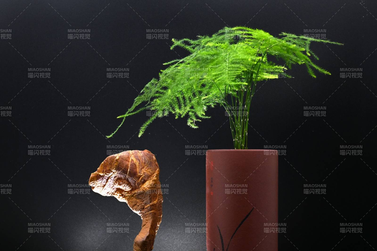 绿植文竹与古老灵壁石的静谧对话图片