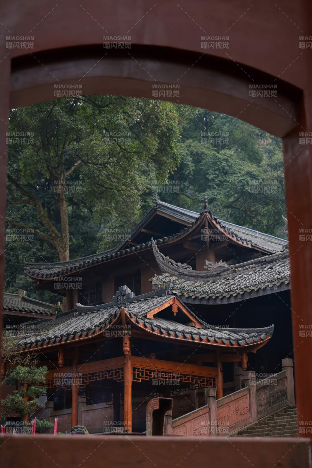 古寺幽林静谧景雅安金凤寺图片