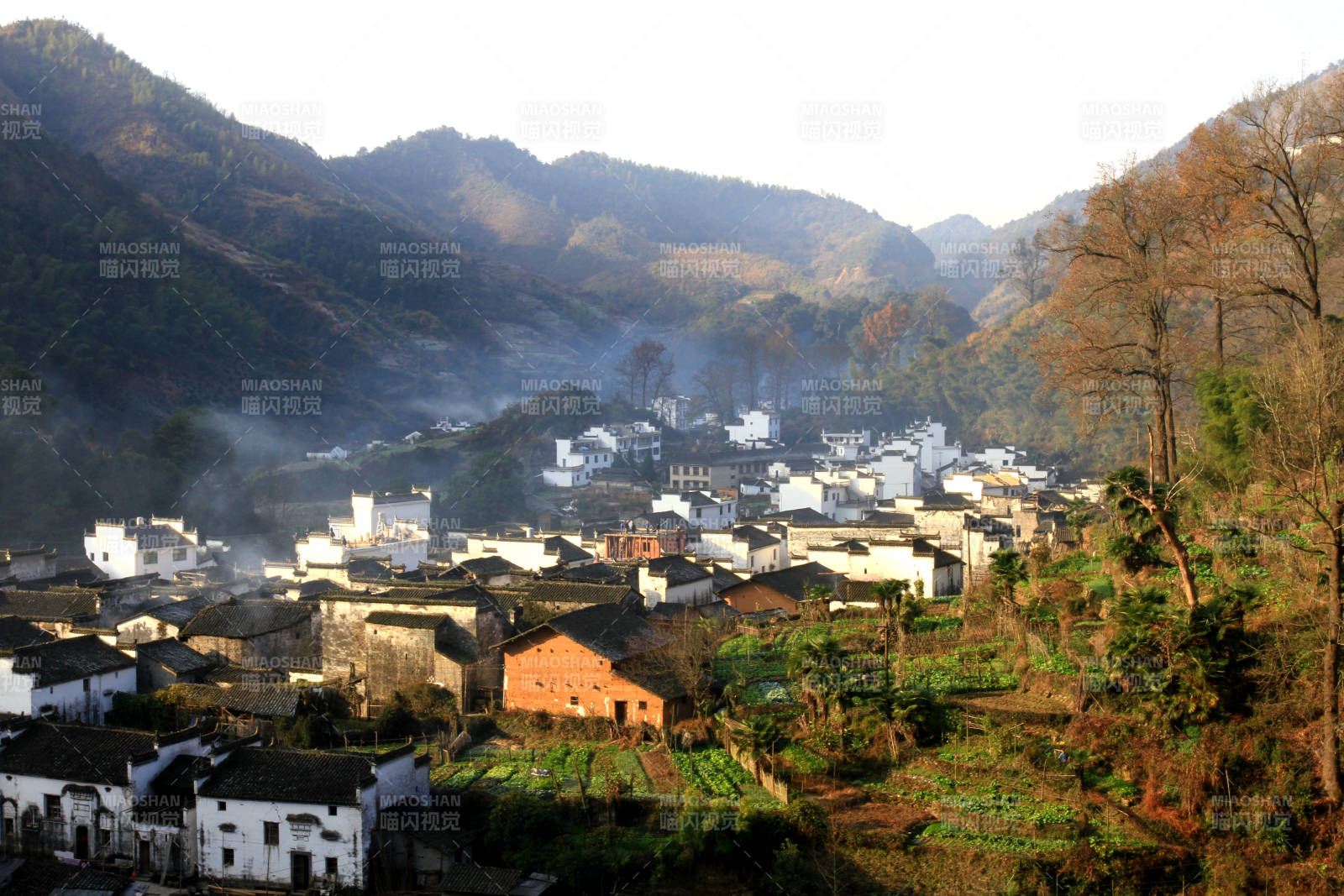 婺源长溪村古村落晨景图片