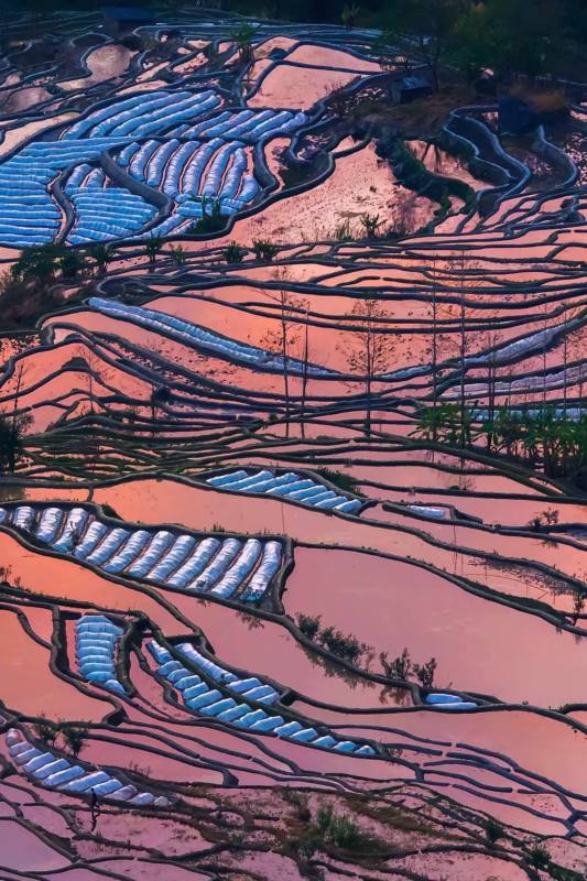 梯田晨曦云南元阳图片