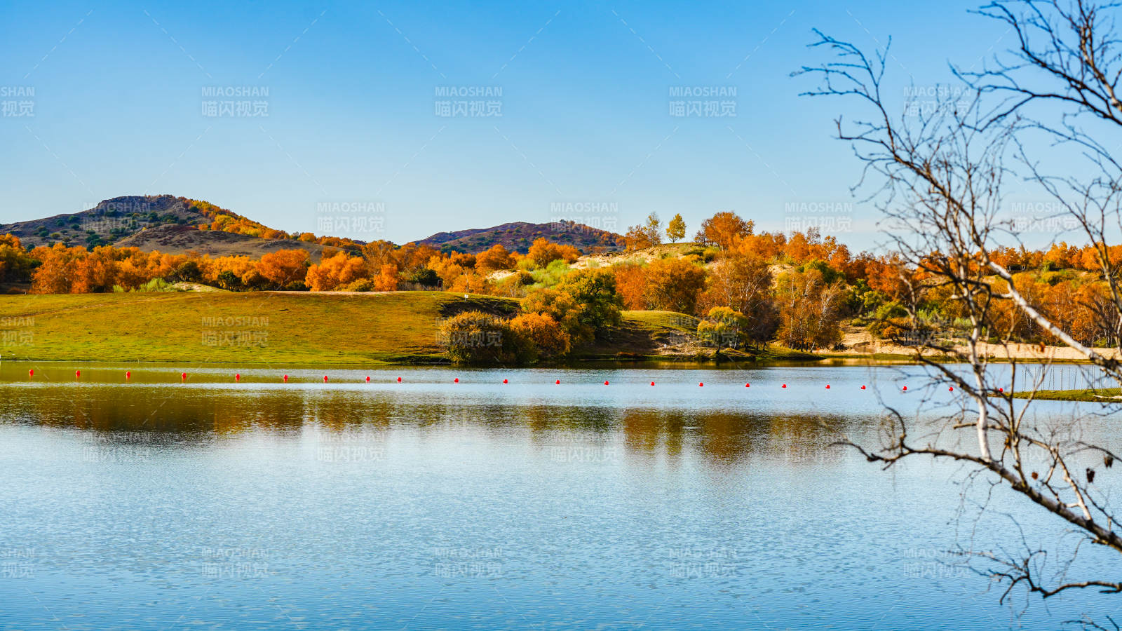 乌兰布统秋湖静景图片