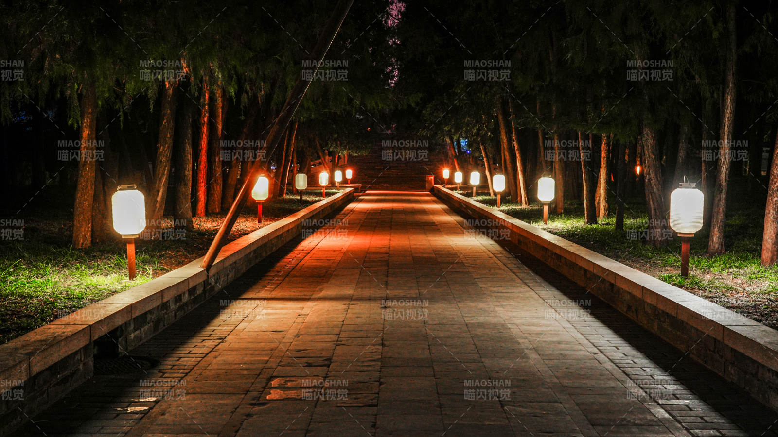 颐和园夜路灯影图片