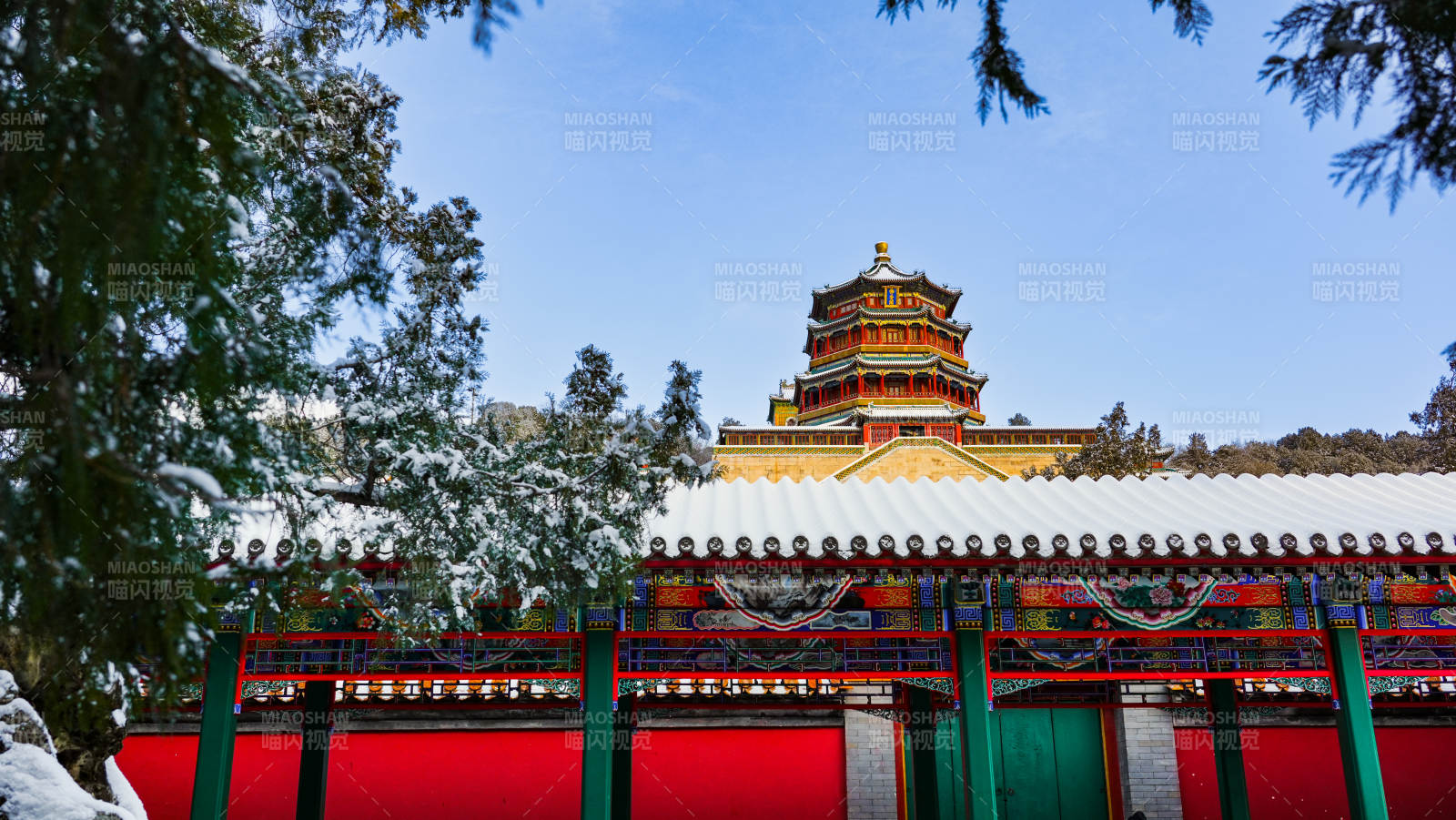 颐和园雪后古塔映红墙图片