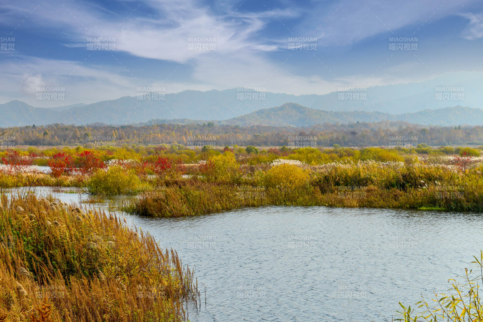 秋日湿地图片