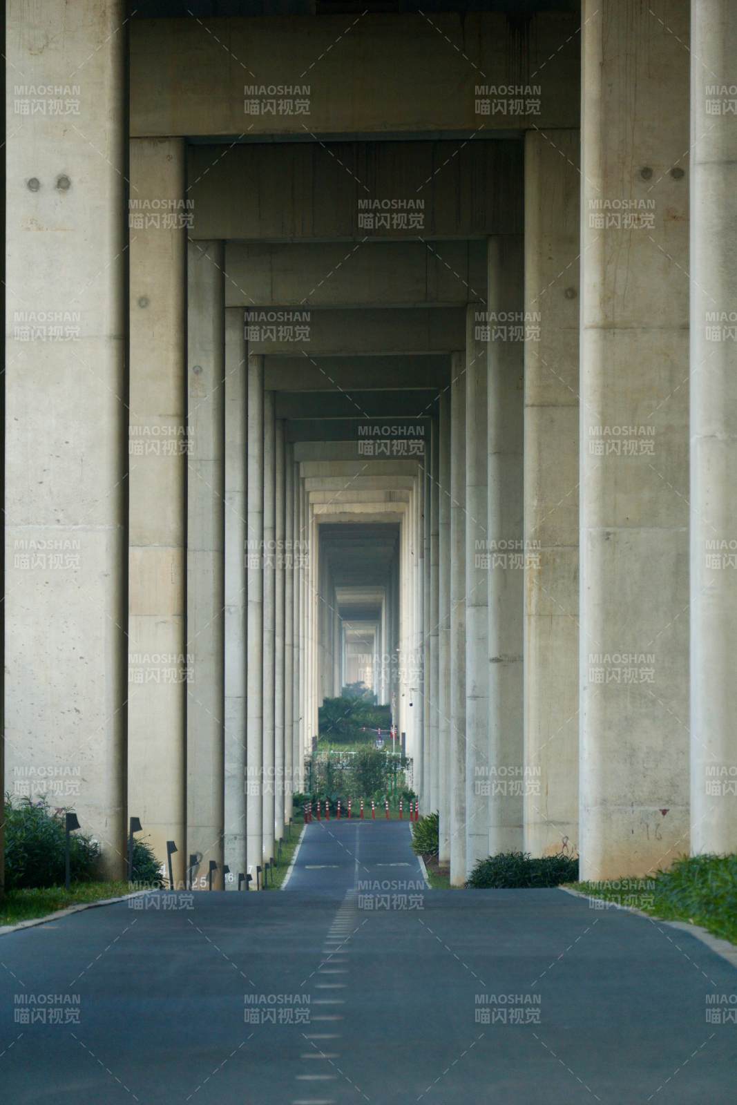 桥下长廊通幽处（深圳山海连城绿道）图片