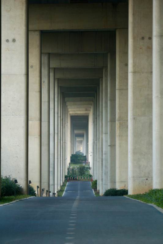 桥下长廊通幽处（深圳山海连城绿道）图片
