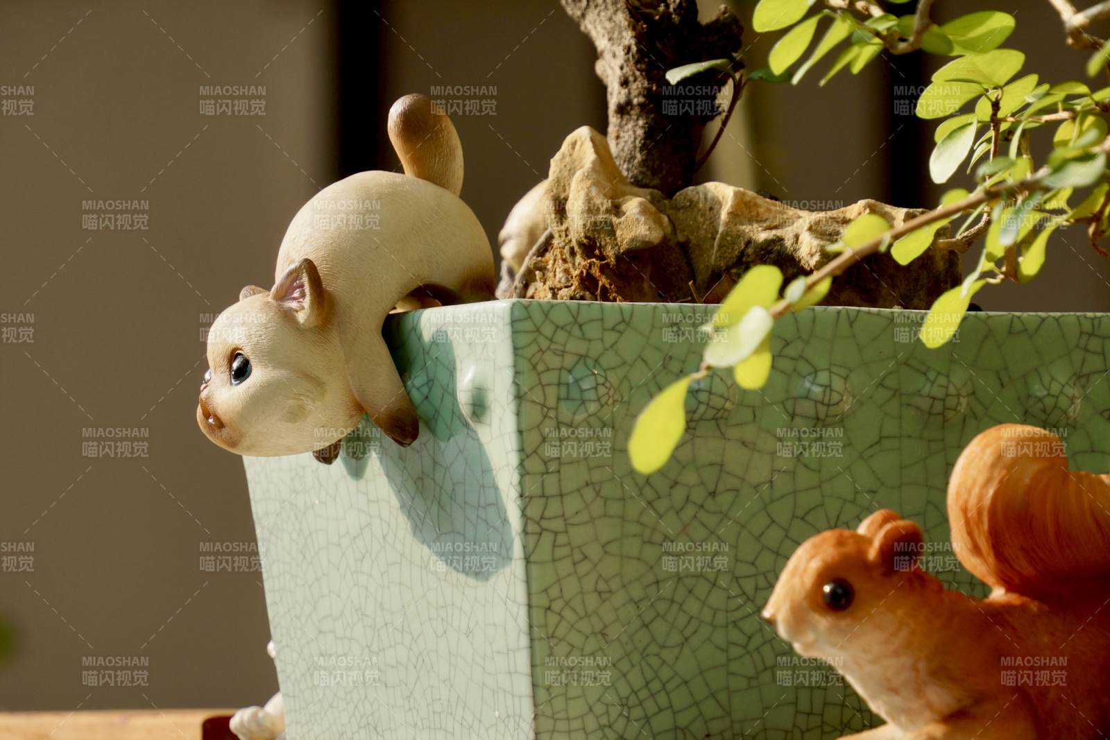 萌宠盆景趣景图片