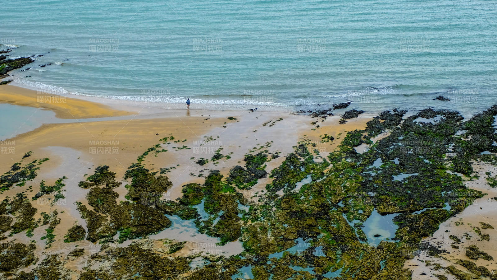 斯旺西海岸滩涂风光图片