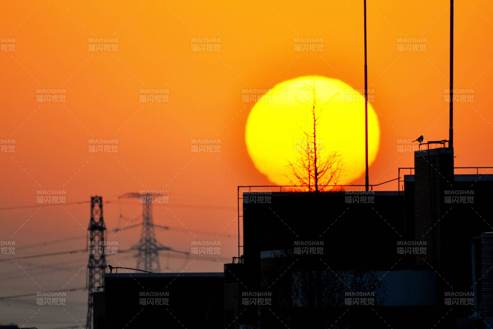 朝阳里的城市剪影图片