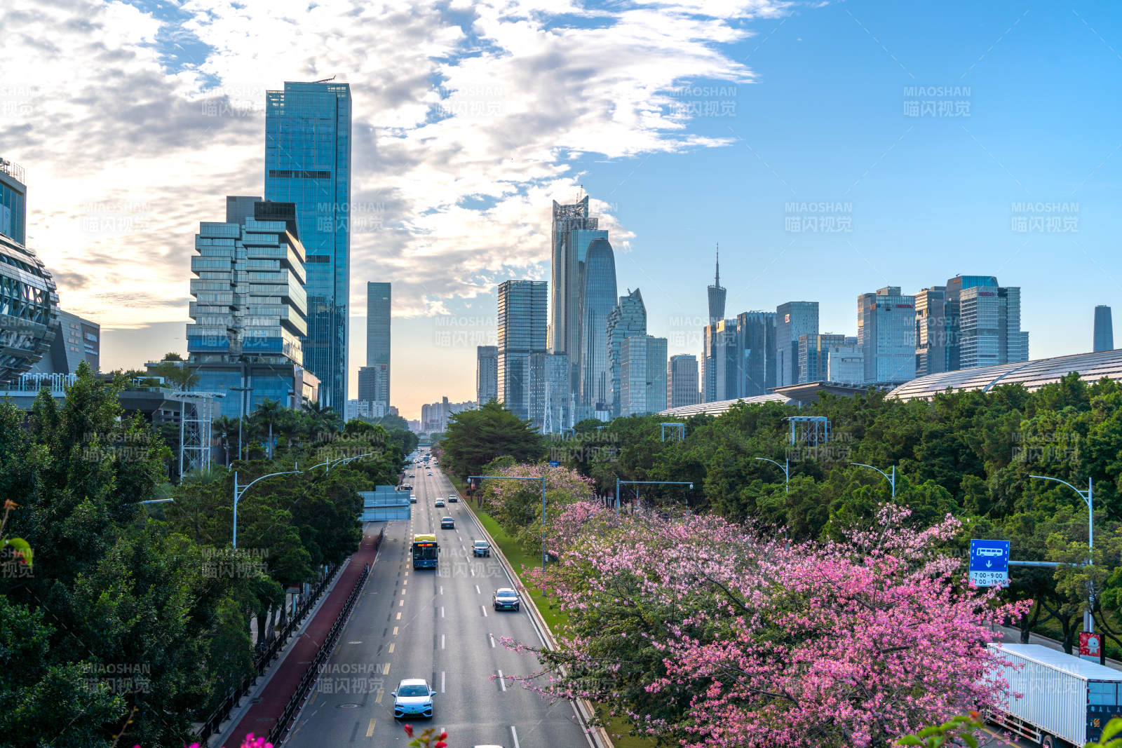 广州新港东路琶洲商务区城市春景 花路两旁图片