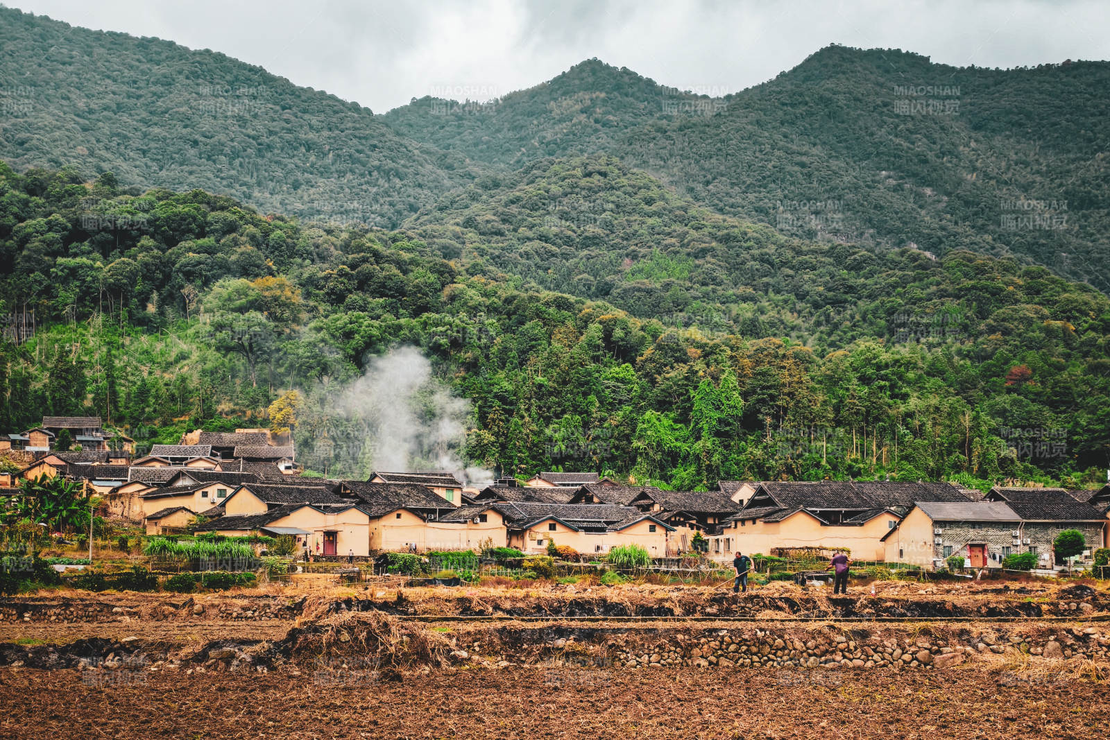 宁德八都镇山间村落炊烟袅袅图片