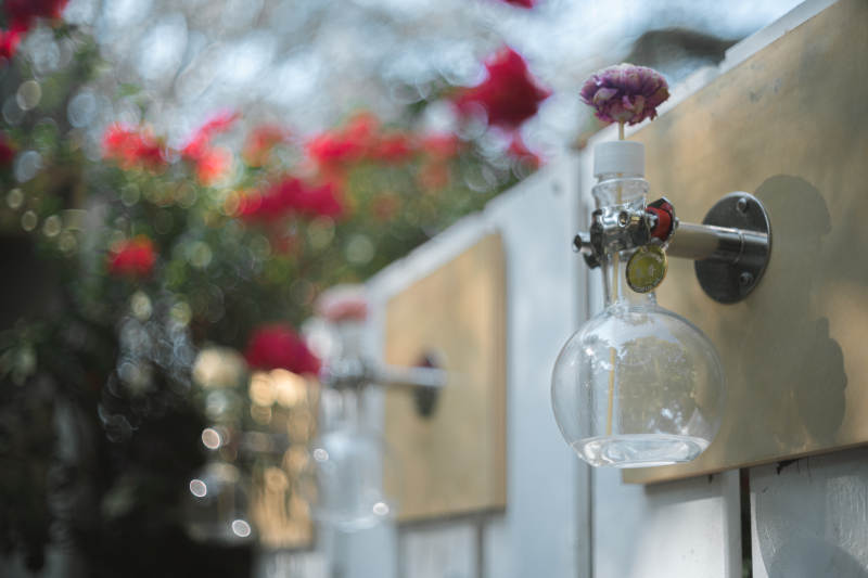 花墙上的玻璃瓶图片