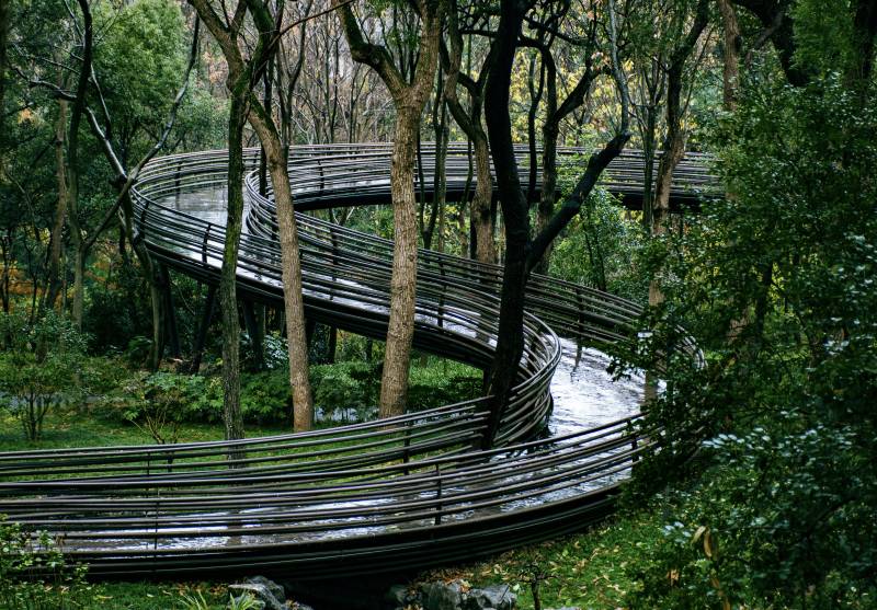 杭州西湖白蛇飞度图片