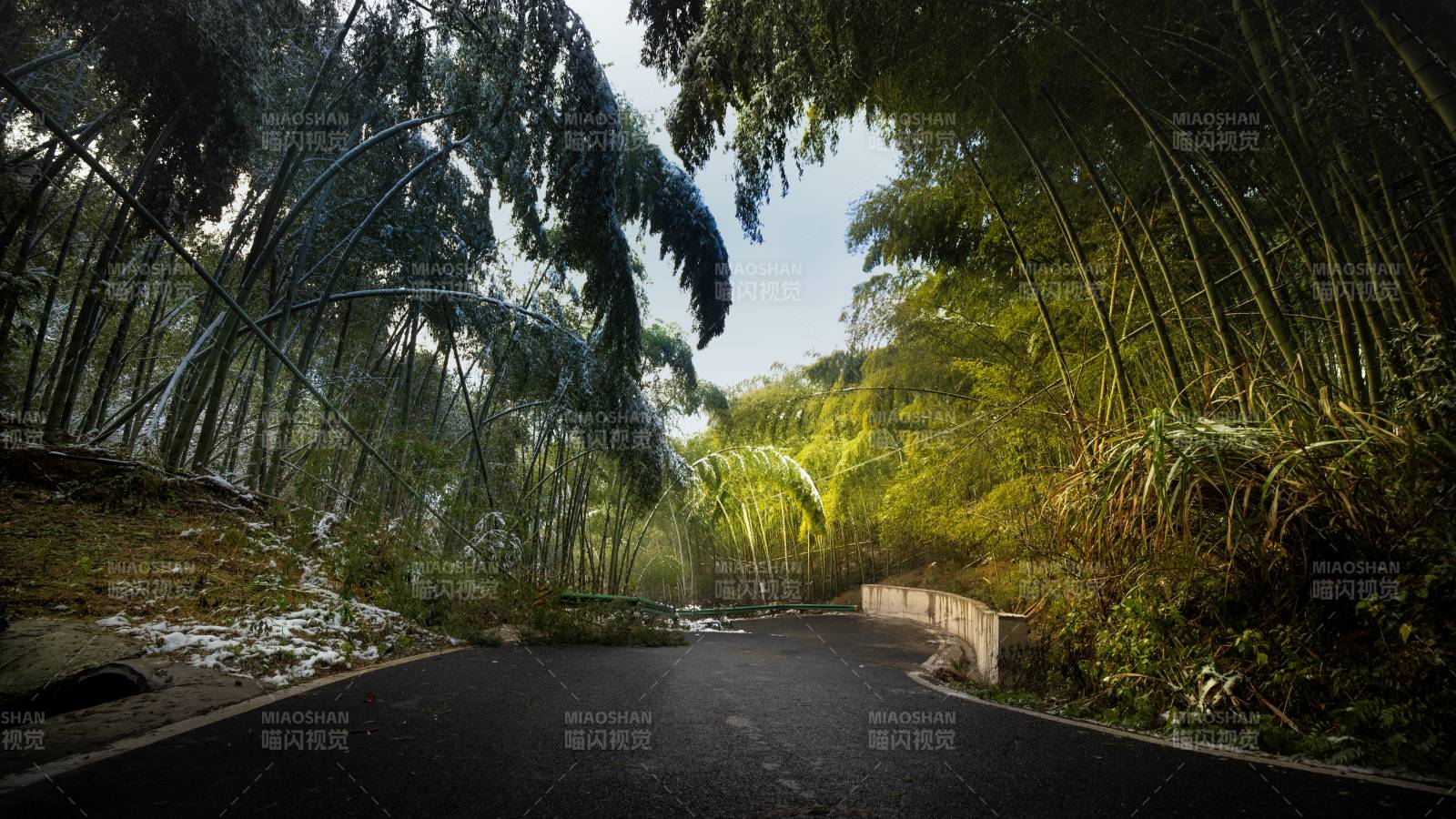 竹林小径位于芜湖市三公山图片