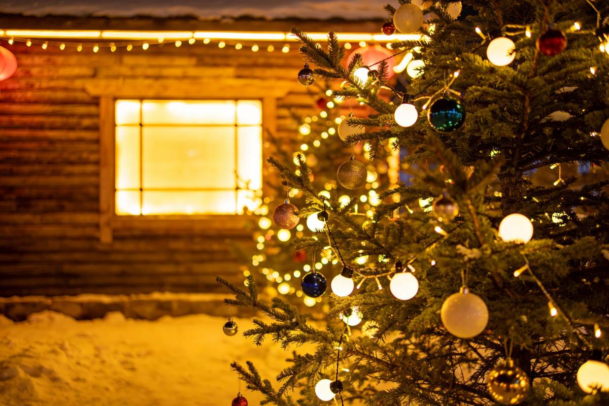 雪夜木屋前的圣诞树图片
