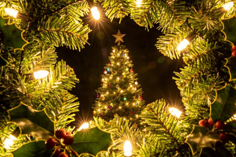 圣诞树与花环夜景图片