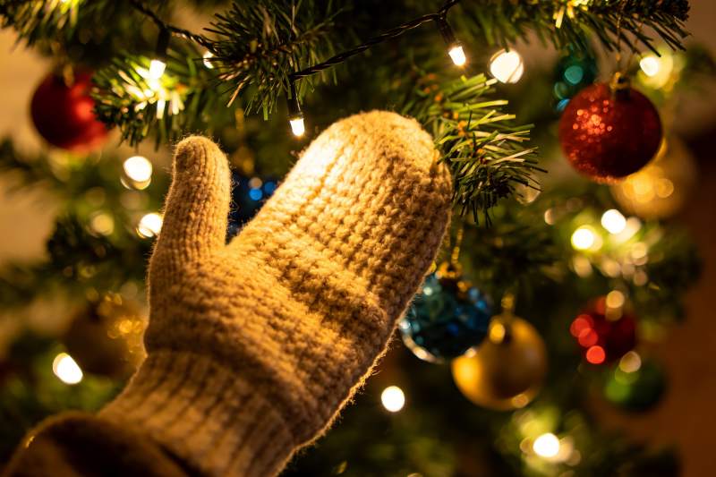 圣诞树前的手套特写图片