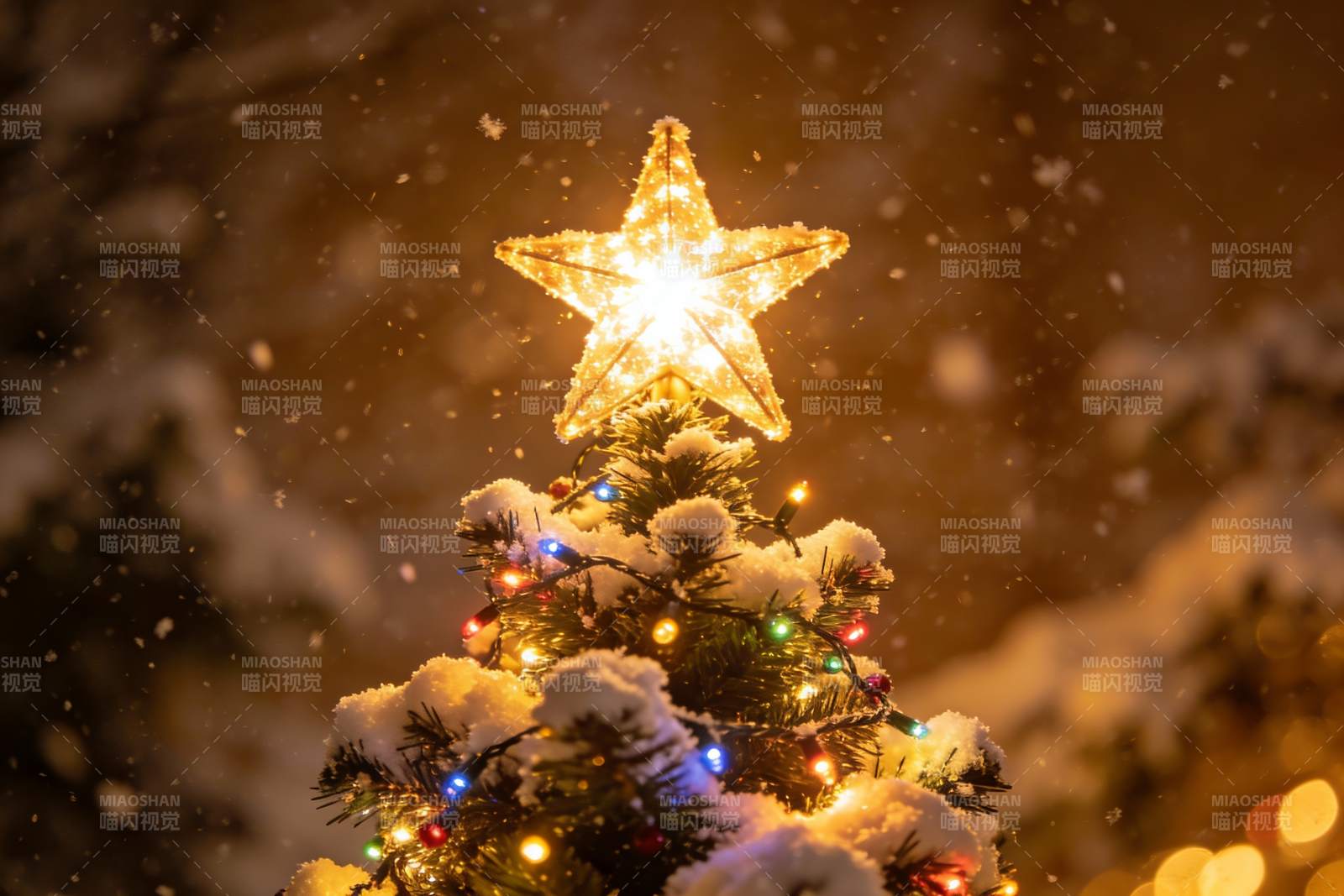 雪夜圣诞树星光璀璨图片