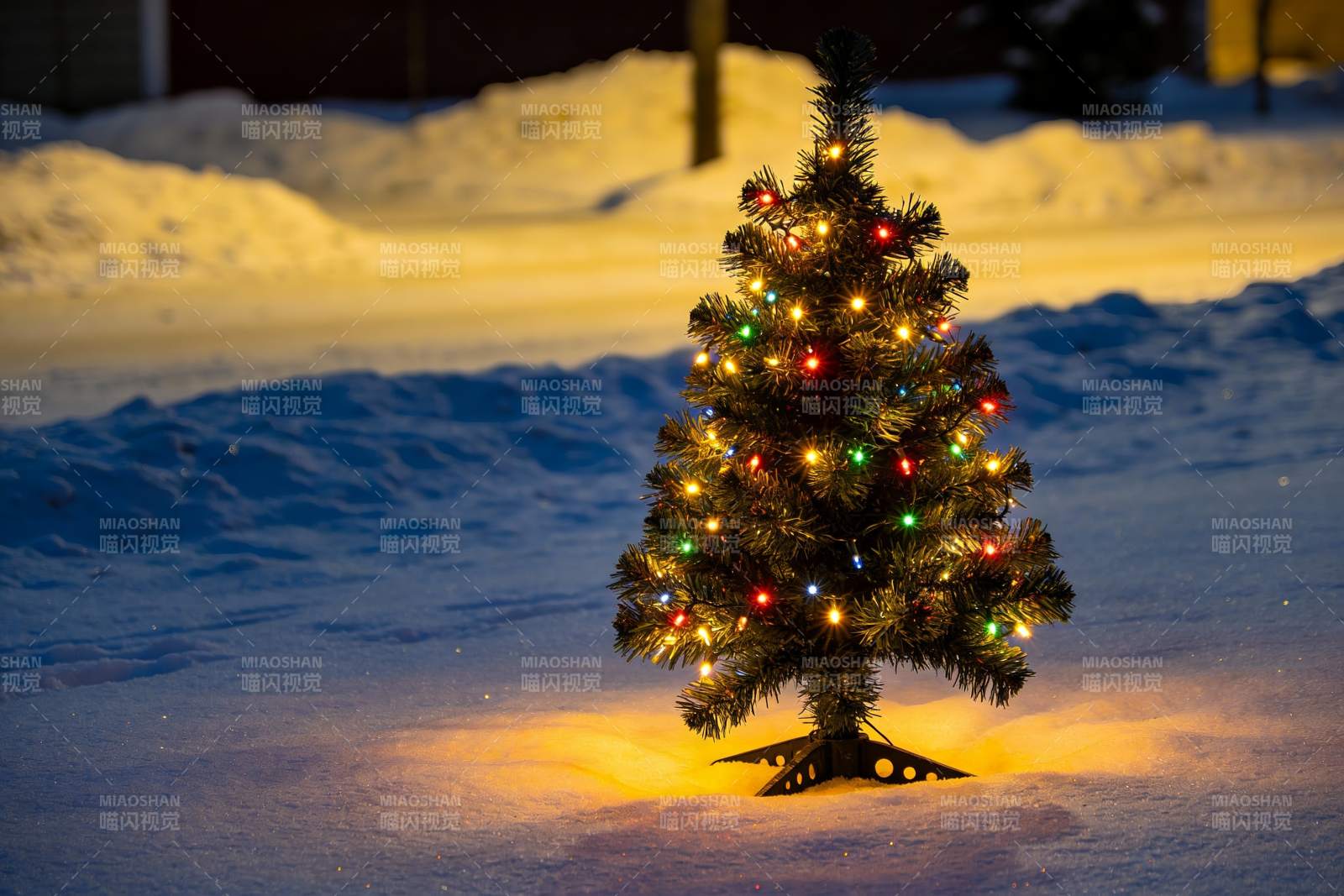 雪地圣诞树灯光闪烁图片