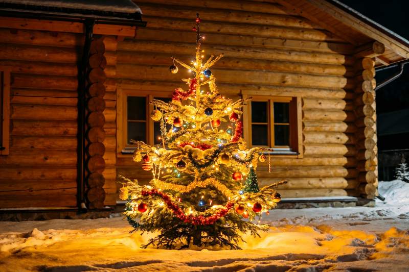 雪夜木屋前的圣诞树图片